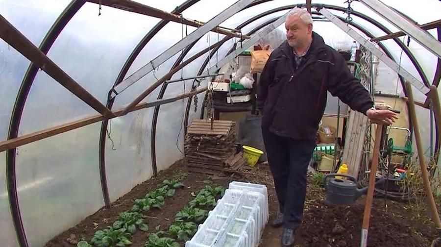 Hoe richt je een moestuin in?