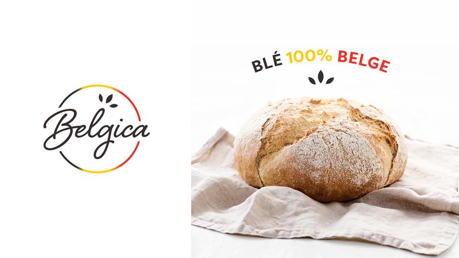 BELGICA À PARTIR DE BLÉ 100% BELGE