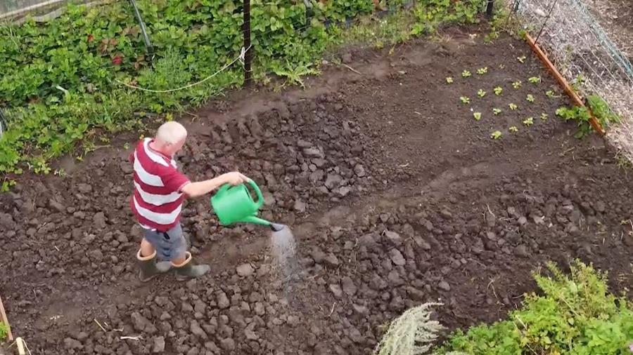 ZIEKTEBESTRIJDING BIJ PLANTEN