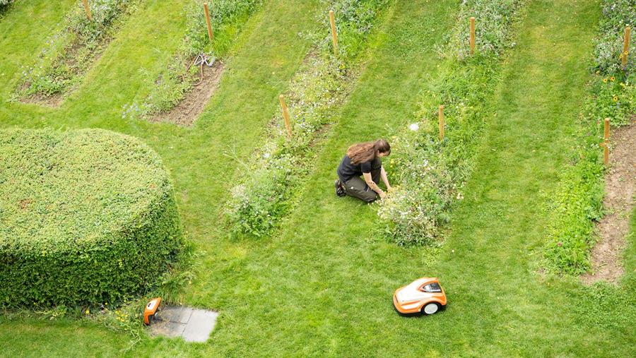 Les bordures tondues par des tondeuses robotisées améliorent la biodiversité