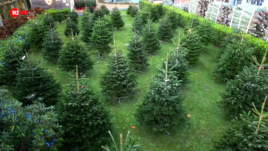 Une ambiance de Noël chaleureuse dans votre commune avec Kerstbomen De Smedt