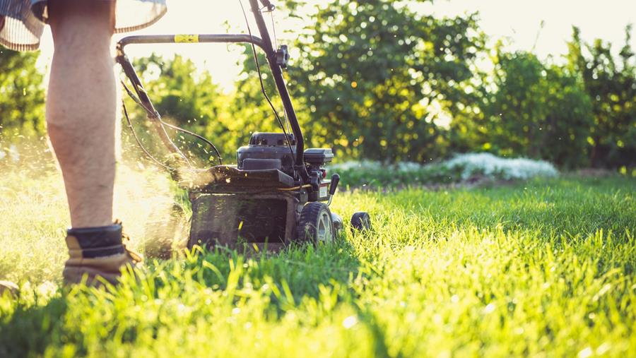 April: het startschot voor een gezond en sterk gazon
