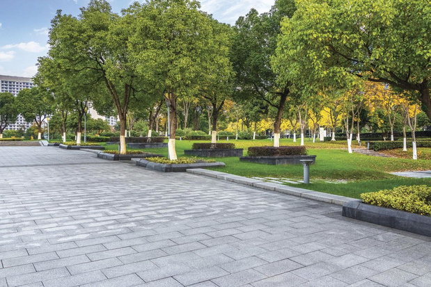 Natuur op doktersvoorschrift