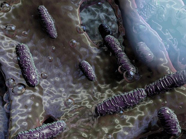 Infection: le Top1 des traitements?