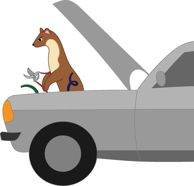 La fouine, le moteur et le dépanneur