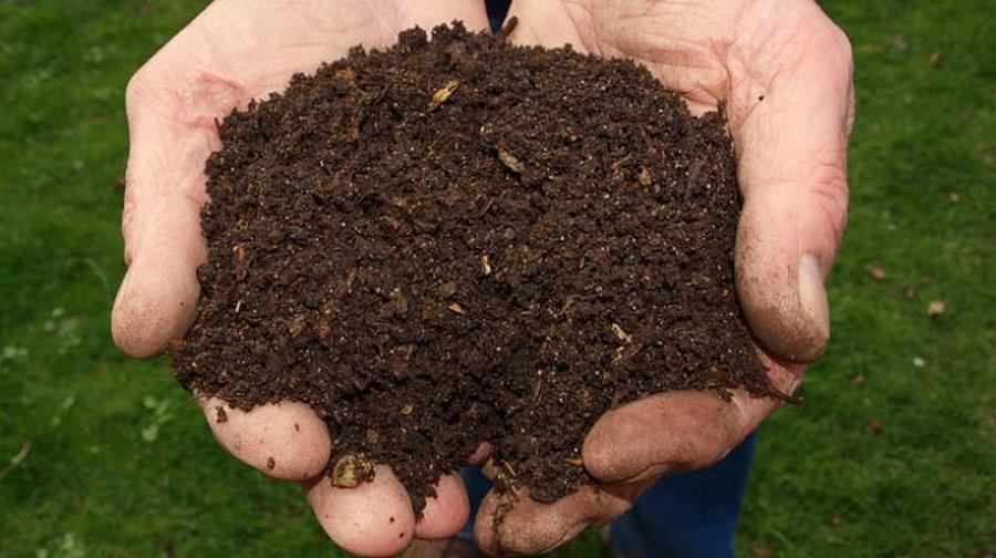 Wat is goede compost?