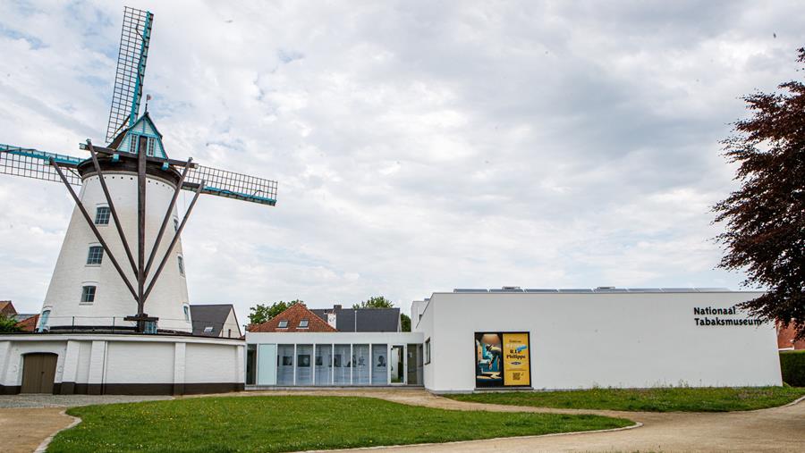 Gevel Tabakmuseum opgefrist na roodalg