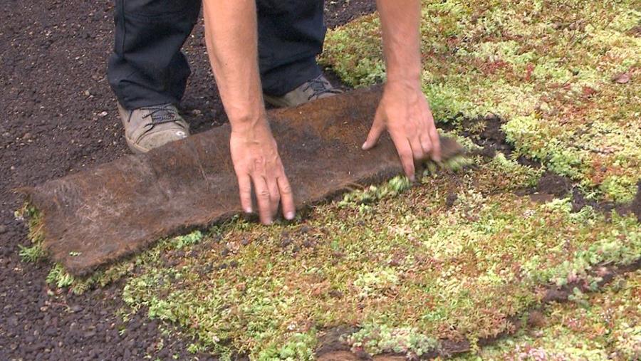 Hoe zelf een extensief groendak leggen