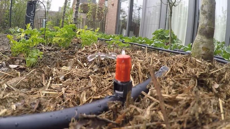 Hoe bewater je je tuin met druppelbevloeiing?