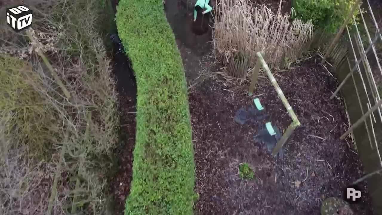 Hoe plant je een boom?