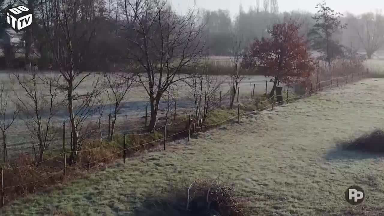 Bien aménager son jardin apres un hiver irregulier